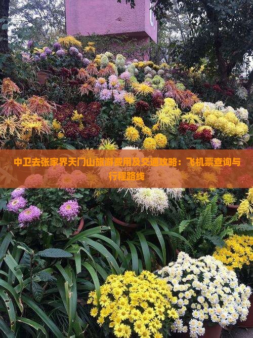 中卫去张家界天门山旅游费用及交通攻略：飞机票查询与行程路线