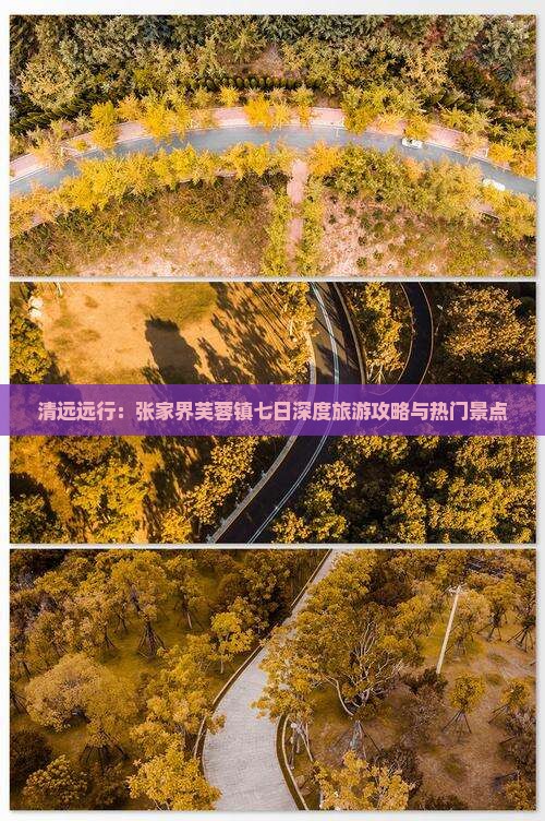 清远远行：张家界芙蓉镇七日深度旅游攻略与热门景点