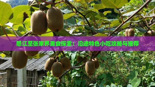 怒江至张家界美食探索：沿途特色小吃攻略与推荐