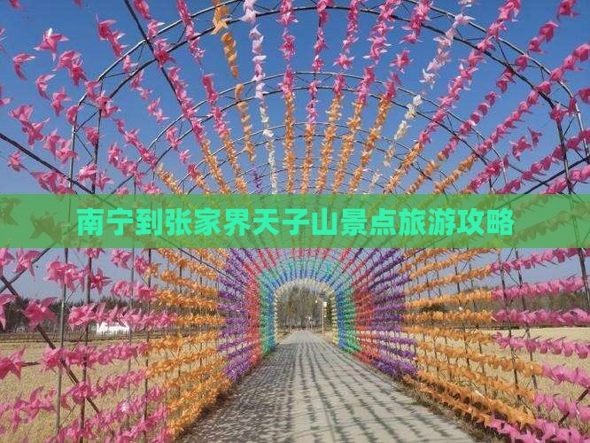南宁到张家界天子山景点旅游攻略