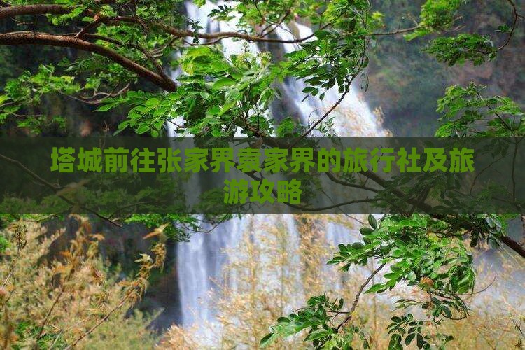 塔城前往张家界袁家界的旅行社及旅游攻略