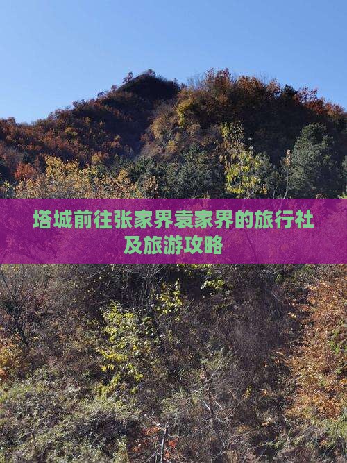 塔城前往张家界袁家界的旅行社及旅游攻略