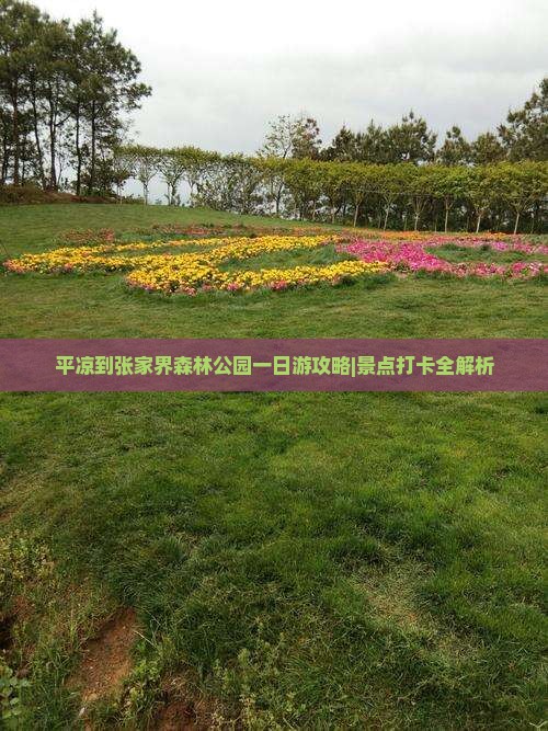 平凉到张家界森林公园一日游攻略|景点打卡全解析