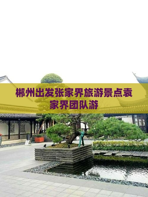 郴州出发张家界旅游景点袁家界团队游