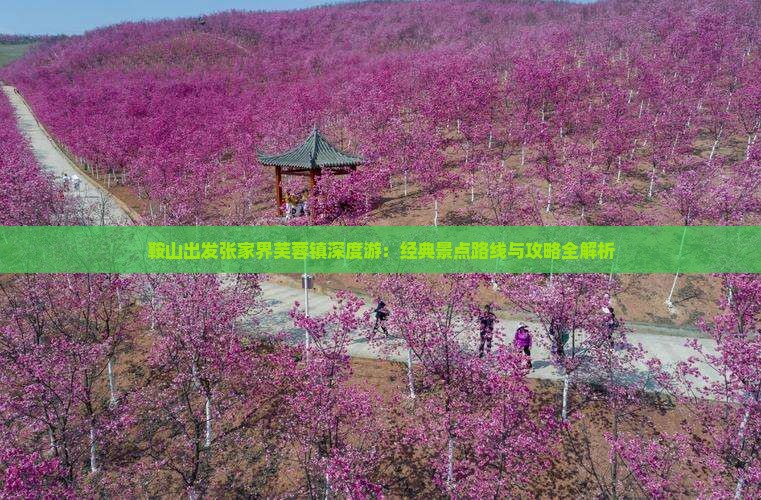 鞍山出发张家界芙蓉镇深度游：经典景点路线与攻略全解析
