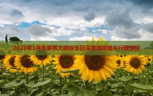 2023年3月张家界大峡谷五日深度游攻略与行程安排