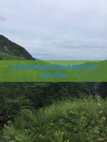 太原去张家界森林公园必去地推荐自驾游景点攻略