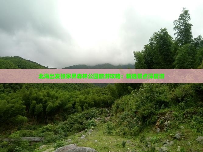 北海出发张家界森林公园旅游攻略：精选景点深度游