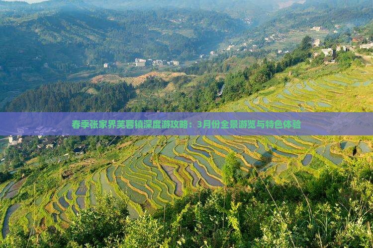 春季张家界芙蓉镇深度游攻略：3月份全景游览与特色体验