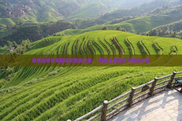 春季张家界芙蓉镇深度游攻略：3月份全景游览与特色体验