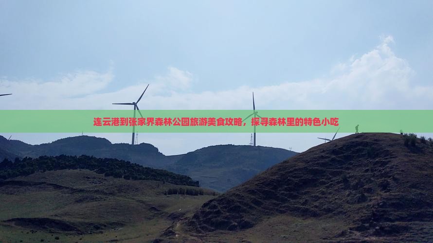 连云港到张家界森林公园旅游美食攻略，探寻森林里的特色小吃