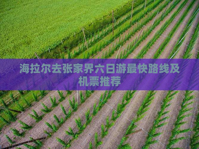 海拉尔去张家界六日游最快路线及机票推荐