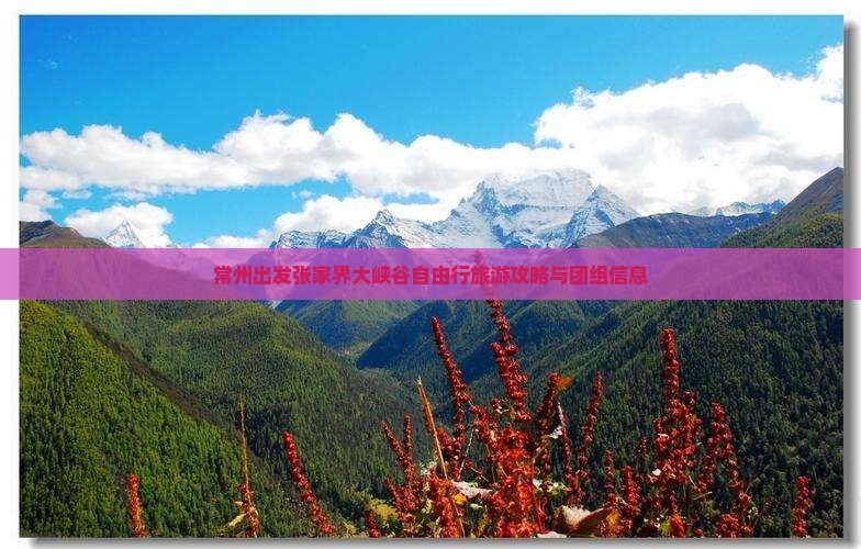 常州出发张家界大峡谷自由行旅游攻略与团组信息