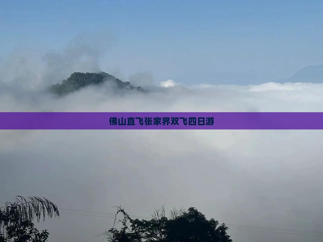 佛山直飞张家界双飞四日游