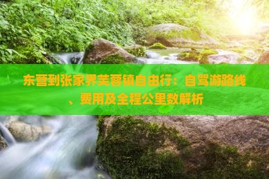 东营到张家界芙蓉镇自由行：自驾游路线、费用及全程公里数解析