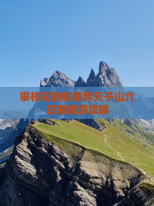 攀枝花到张家界天子山六日游旅游攻略