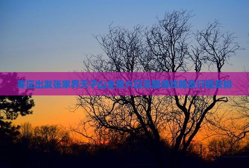 枣庄出发张家界天子山全景六日深度游攻略及行程安排