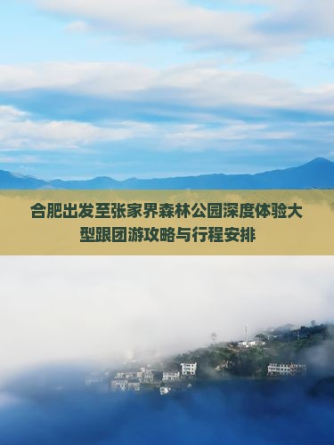 合肥出发至张家界森林公园深度体验大型跟团游攻略与行程安排