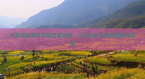 六月去张家界凤凰古城攻略：三天自由行游玩路线与预算