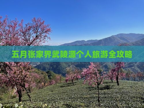 五月张家界武陵源个人旅游全攻略