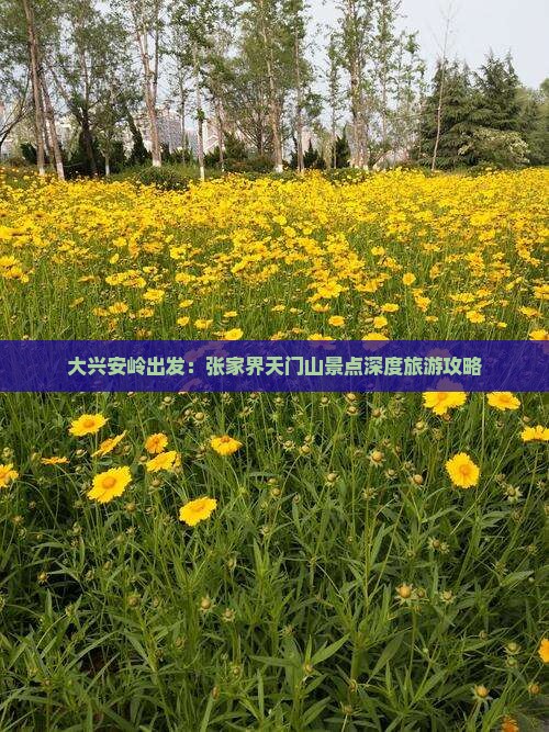 大兴安岭出发：张家界天门山景点深度旅游攻略