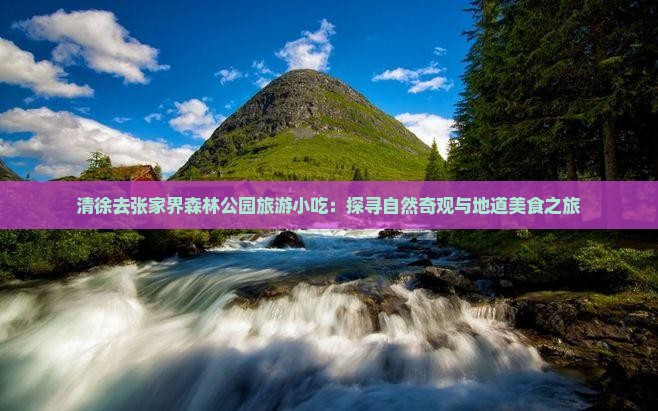 清徐去张家界森林公园旅游小吃：探寻自然奇观与地道美食之旅