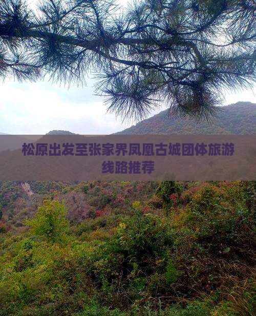 松原出发至张家界凤凰古城团体旅游线路推荐