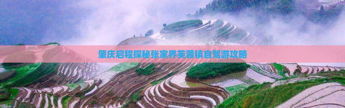 肇庆启程探秘张家界芙蓉镇自驾游攻略