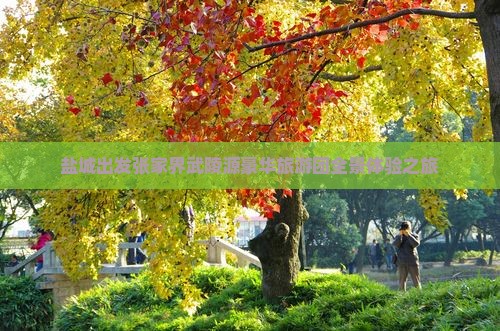 盐城出发张家界武陵源豪华旅游团全景体验之旅