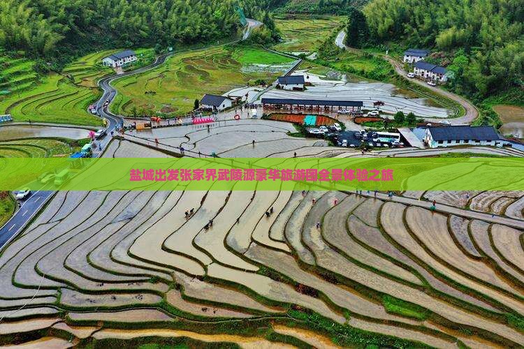 盐城出发张家界武陵源豪华旅游团全景体验之旅