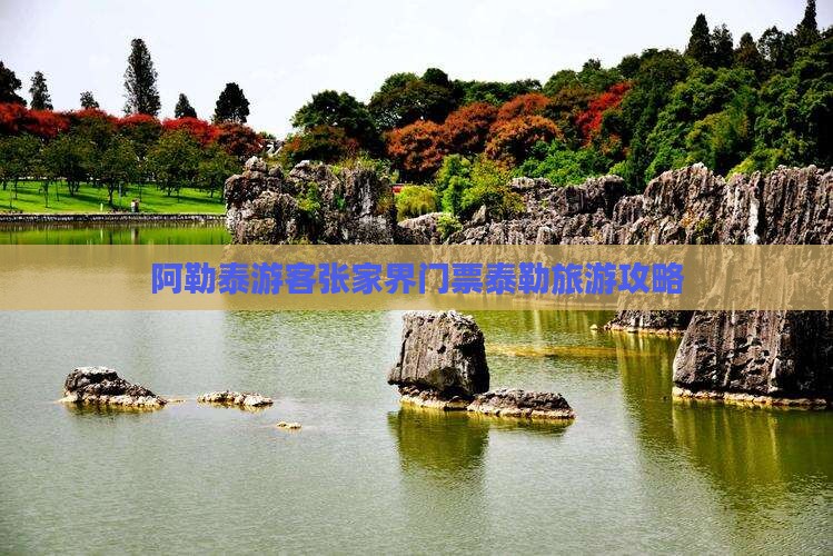 阿勒泰游客张家界门票泰勒旅游攻略