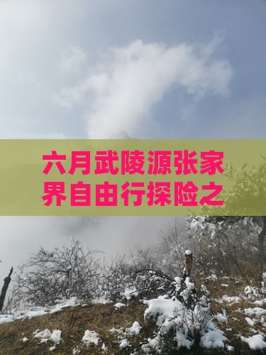 六月武陵源张家界自由行探险之旅