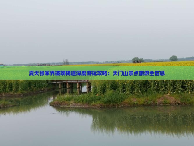 夏天张家界玻璃栈道深度游玩攻略：天门山景点旅游全信息