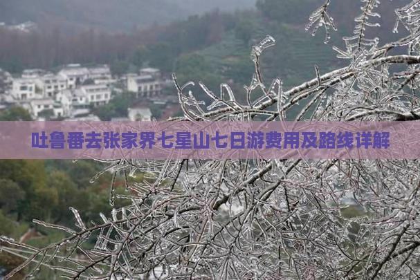 吐鲁番去张家界七星山七日游费用及路线详解