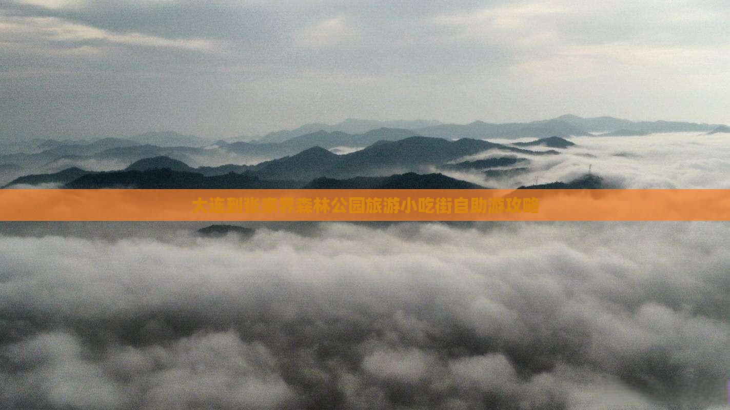 大连到张家界森林公园旅游小吃街自助游攻略
