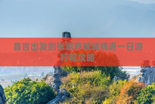 昌吉出发到张家界玻璃栈道一日游行程攻略