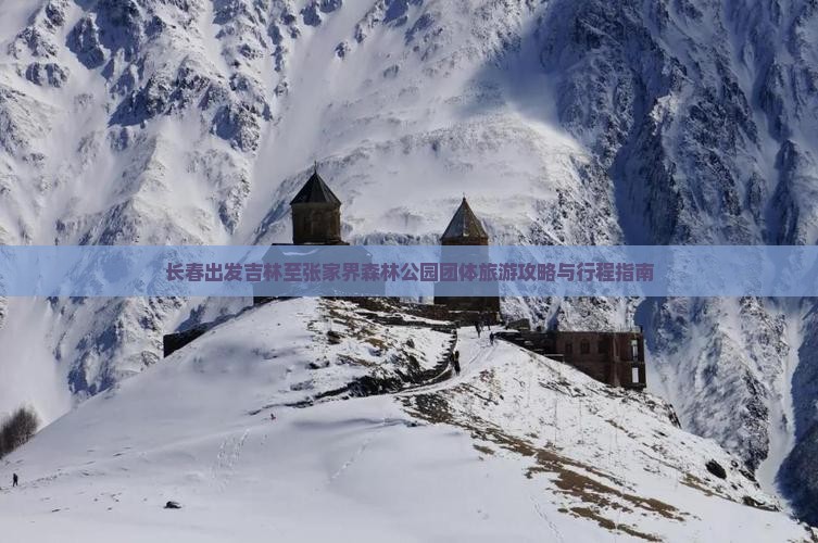 长春出发吉林至张家界森林公园团体旅游攻略与行程指南