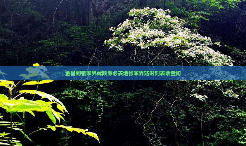 金昌到张家界武陵源必去地张家界站时刻表票查询