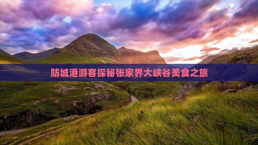 防城港游客探秘张家界大峡谷美食之旅