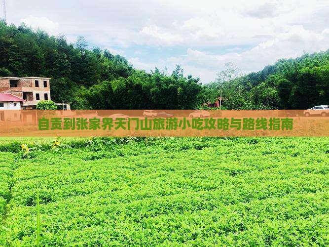 自贡到张家界天门山旅游小吃攻略与路线指南
