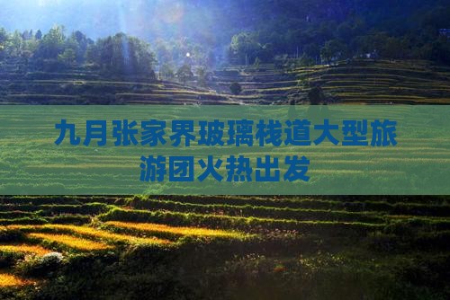 九月张家界玻璃栈道大型旅游团火热出发