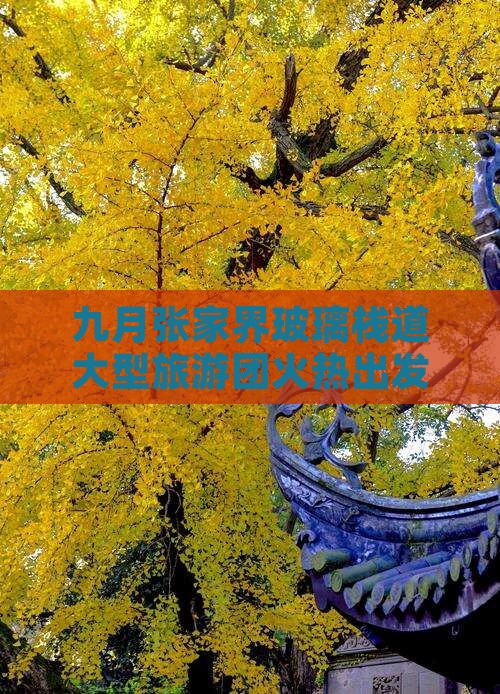 九月张家界玻璃栈道大型旅游团火热出发