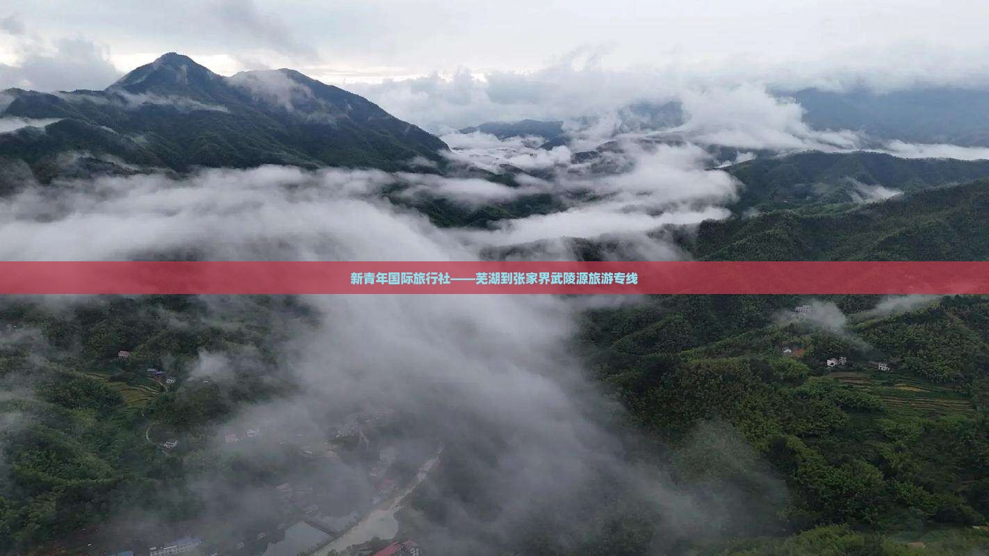 新青年国际旅行社——芜湖到张家界武陵源旅游专线
