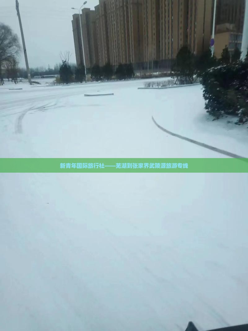 新青年国际旅行社——芜湖到张家界武陵源旅游专线
