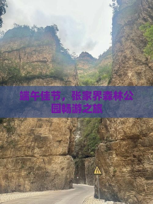 端午佳节，张家界森林公园畅游之旅