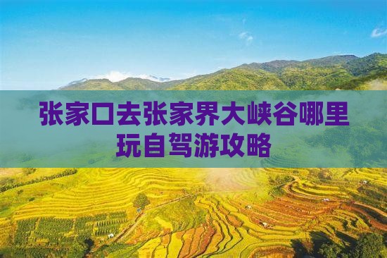 张家口去张家界大峡谷哪里玩自驾游攻略