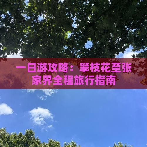 一日游攻略：攀枝花至张家界全程旅行指南
