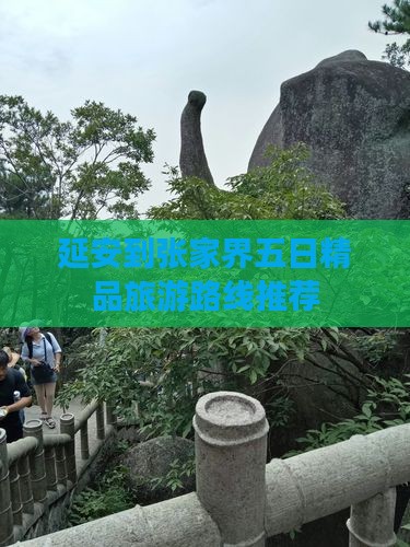 延安到张家界五日精品旅游路线推荐