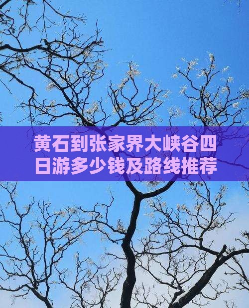 黄石到张家界大峡谷四日游多少钱及路线推荐