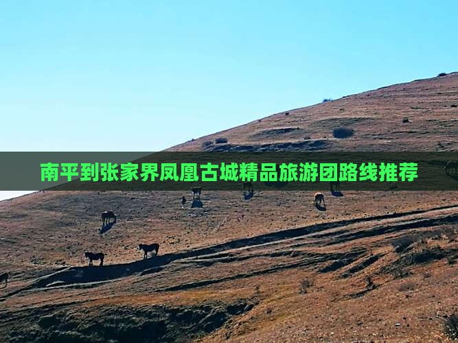 南平到张家界凤凰古城精品旅游团路线推荐
